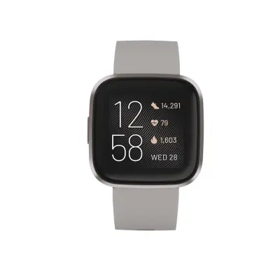 FITBIT Versa 2 (NFC) - Stone/Mist Grey pametna ura