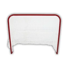 SPARTAN Hokejski gol