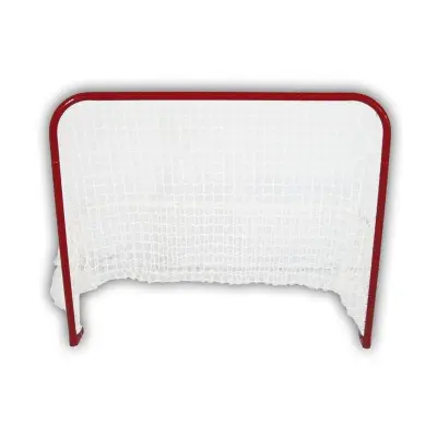 SPARTAN Hokejski gol