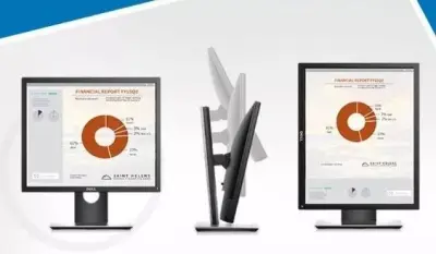 DELL P1917S 48 cm (19")/IPS/SVGA monitor