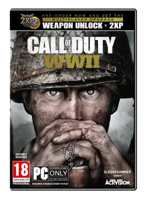 CALL OF DUTY: WWII PC