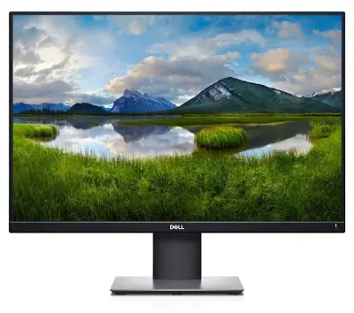 DELL P2421 60.45 cm (24")/IPS/WUXGA monitor