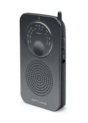 MUSE M-01 RS TRANZISTOR