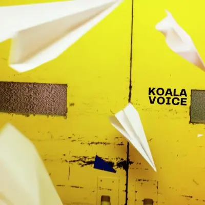 KOALA VOICE - PLATA