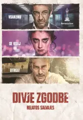 DIVJE ZGODBE - DVD SL.POD
