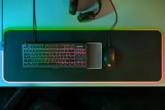 Steelseries Apex 3TKL tipkovnica/