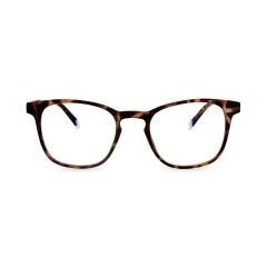 Dalston - Tortoise BARNER