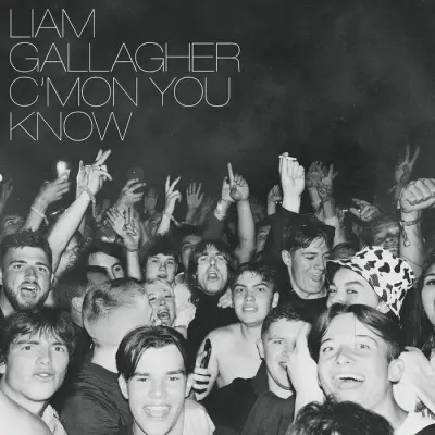 GALLAGHER L.- LP/C'MON YOU KNOW