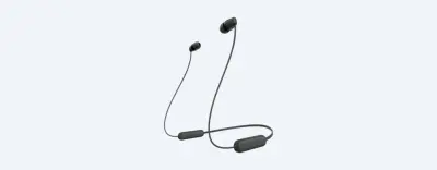 WIC100B.CE7 Sony