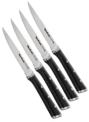 TEFAL K232S414 ICE FORCE 4-delni set nožev