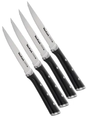 TEFAL K232S414 ICE FORCE 4-delni set nožev