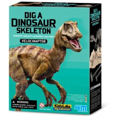 Dinozaver Velociraptor