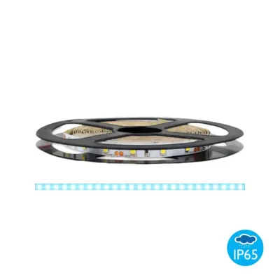 LED trak 12V 300 LED 4,8W/m IP65 6500K 5m
