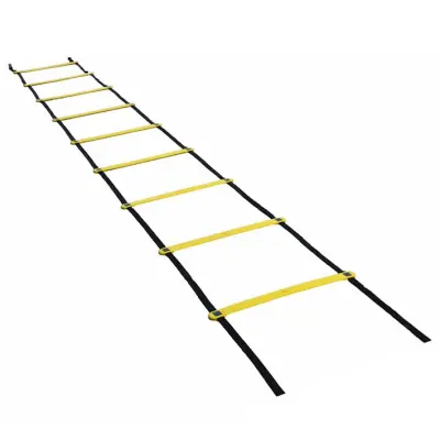 Koordinacijska letev-agility ladder