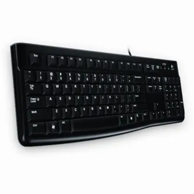 Logitechova tipkovnica LOGITECH K120 Busi
