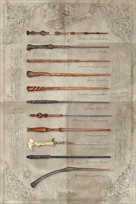 PYRAMID HARRY POTTER THE WAND CHOOSES THE WIZARD maxi poster