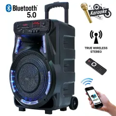 MANTA SPK5033 Karaoke zvočni sistem