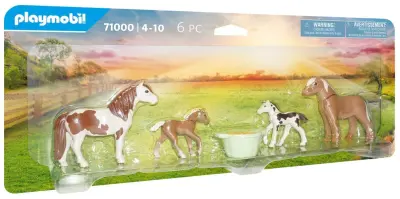 Islandski poniji z žrebeti 71000  - Country