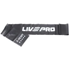 Elastika za vadbo LivePro LP8413