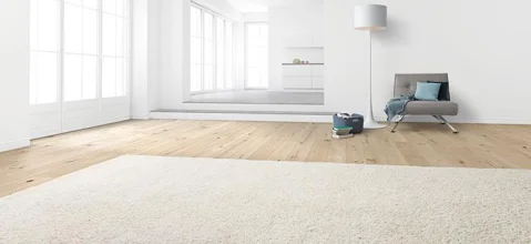 Prihaja nova energijska nalepka EU za sesalnike. Katere so njene novosti in kako nam lahko pomaga pri nakupni odločitvi?