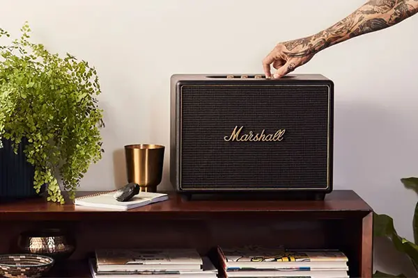 Svetovno znani Marshall