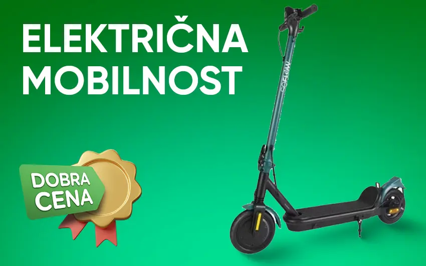 Električna mobilnost